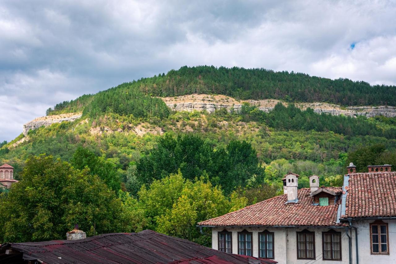 The Gallery Guest House - Garden And Garage Veliko Tarnovo Buitenkant foto
